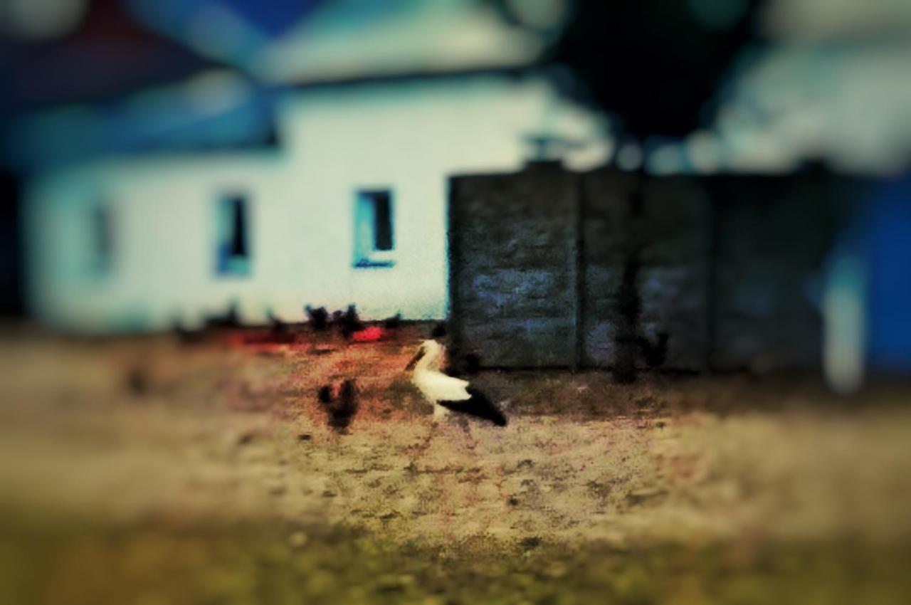 Home&Slow Life Gdaňsk Exteriér fotografie